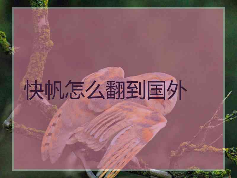 快帆怎么翻到国外