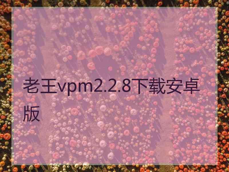 老王vpm2.2.8下载安卓版