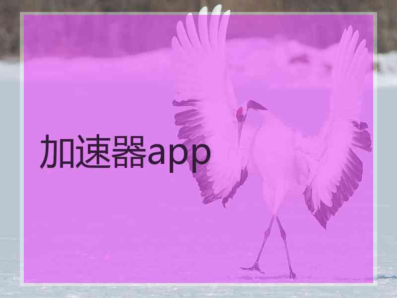 加速器app
