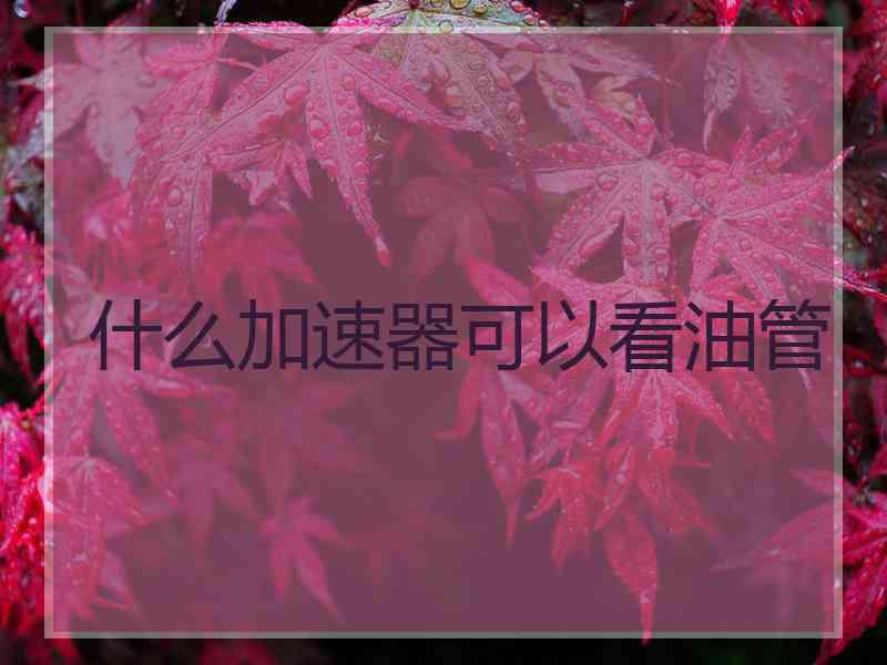 什么加速器可以看油管