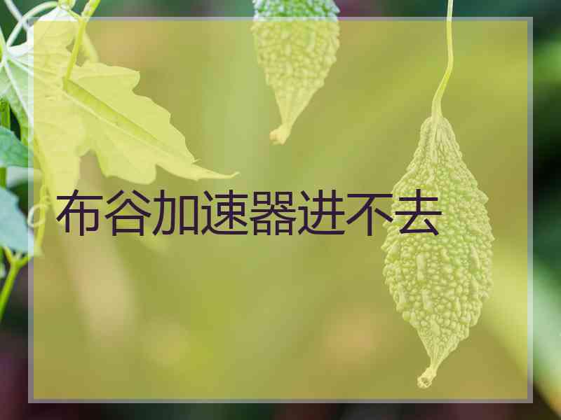 布谷加速器进不去
