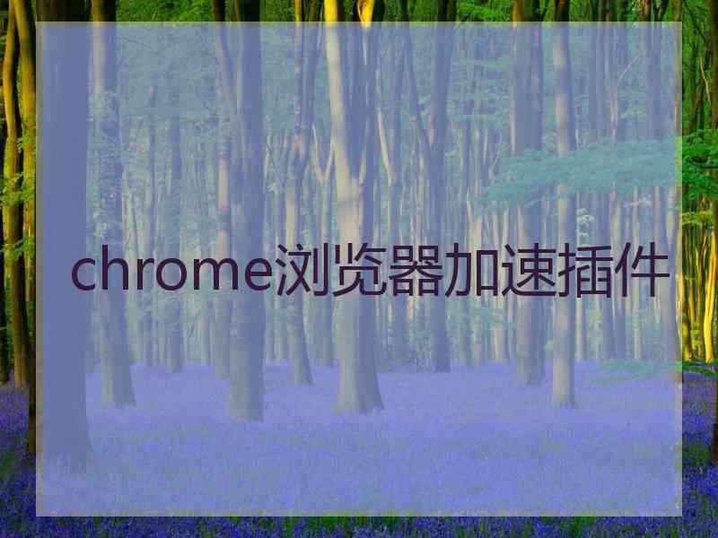 chrome浏览器加速插件