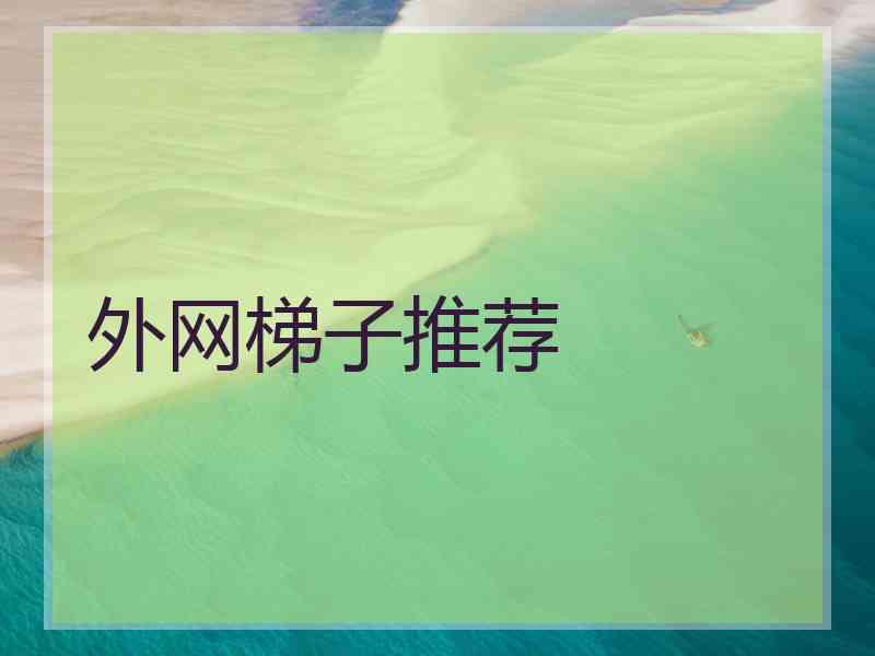 外网梯子推荐