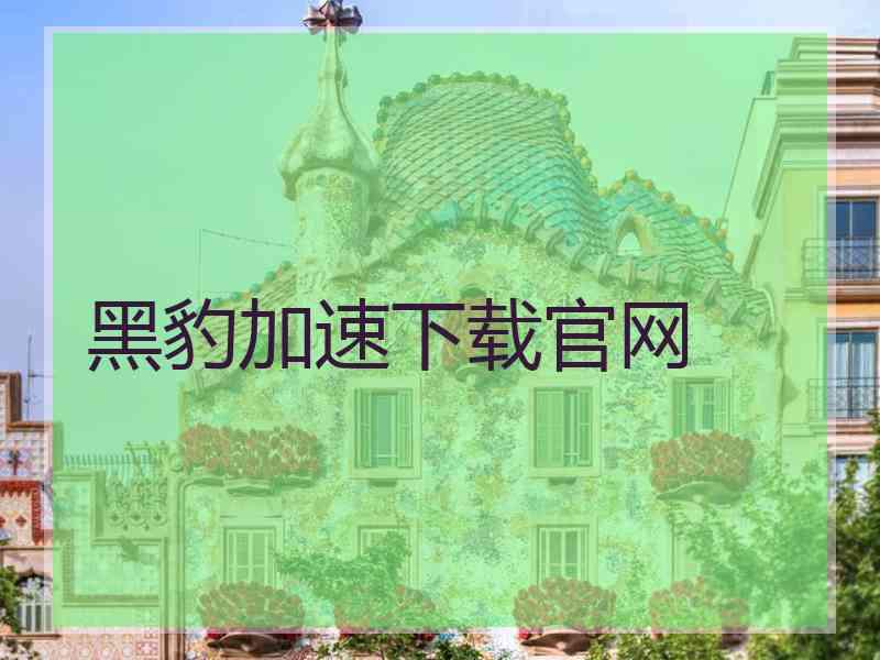 黑豹加速下载官网