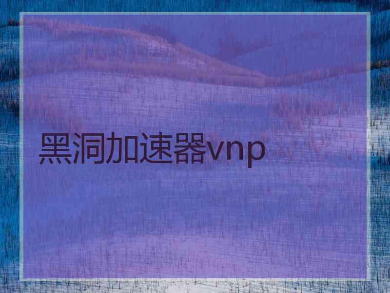 黑洞加速器vnp