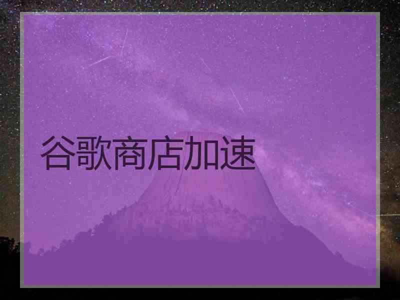 谷歌商店加速