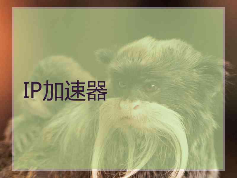 IP加速器